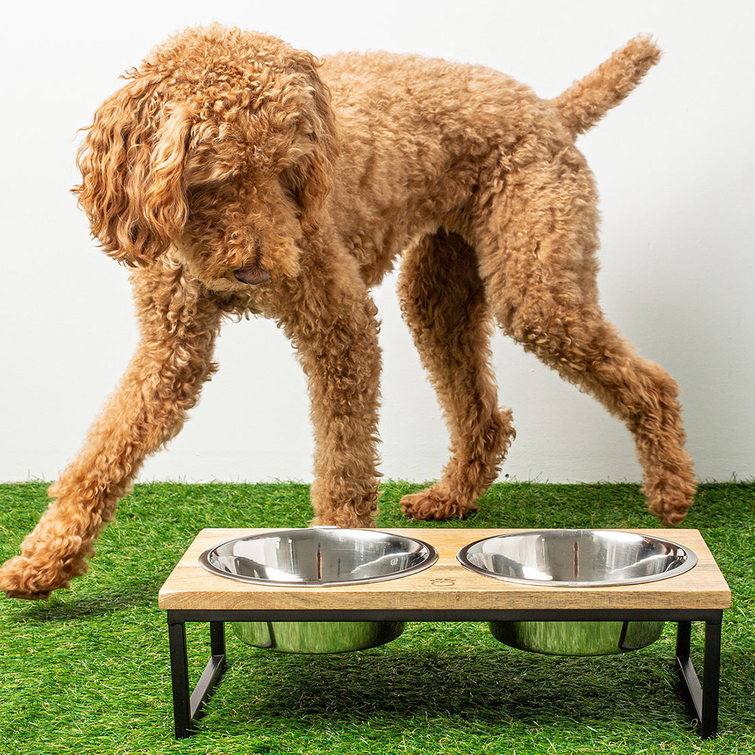 Dog Bowls MANGO Wood & Metal - Elevated