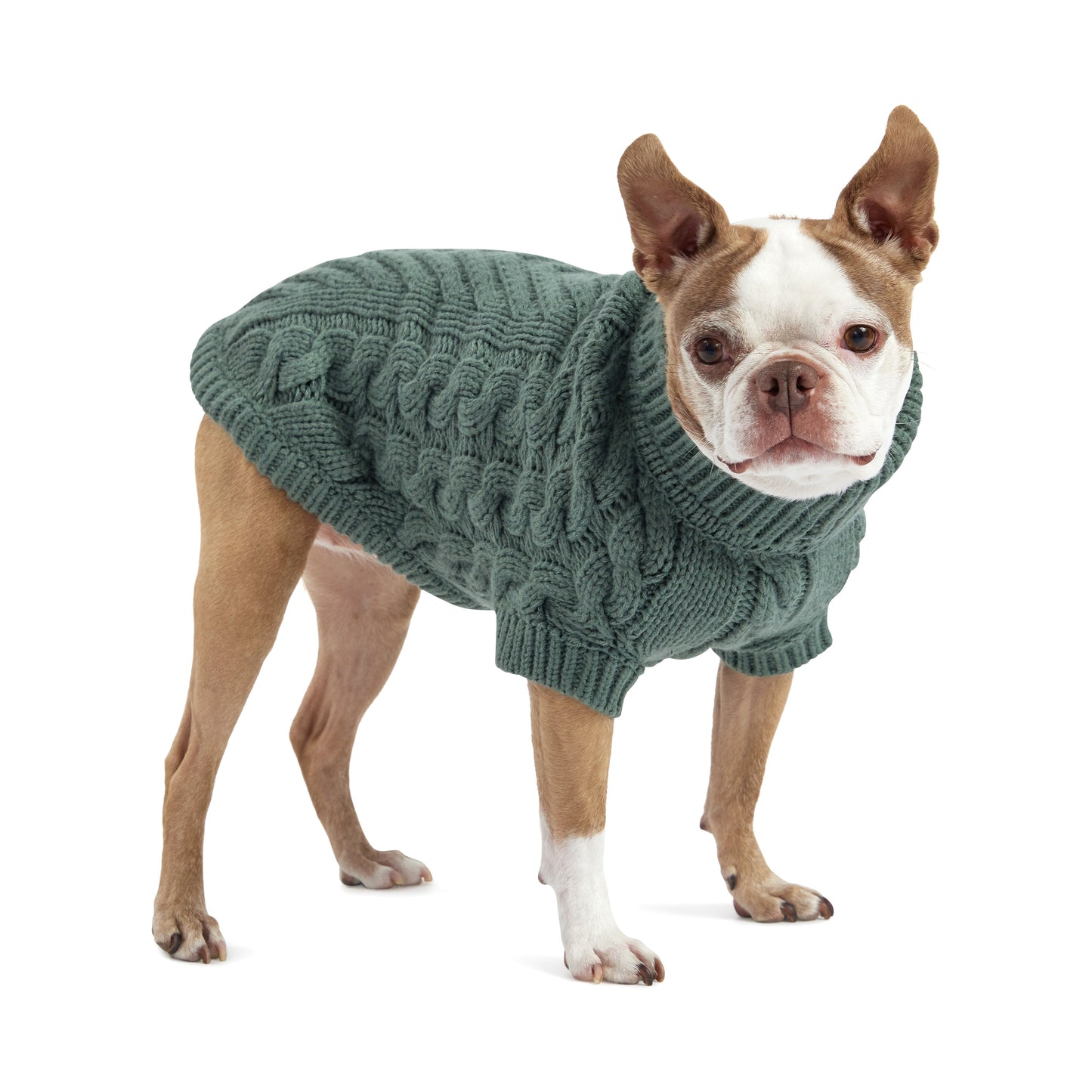 Chalet Pet Sweater - Sage