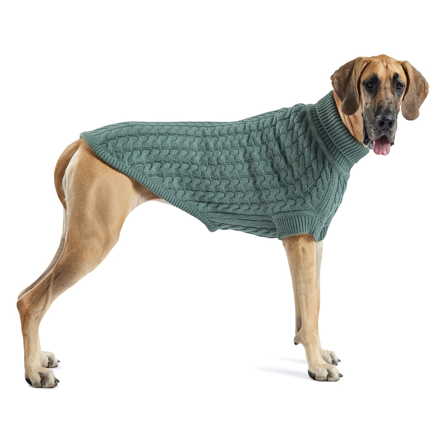 Chalet Pet Sweater - Sage