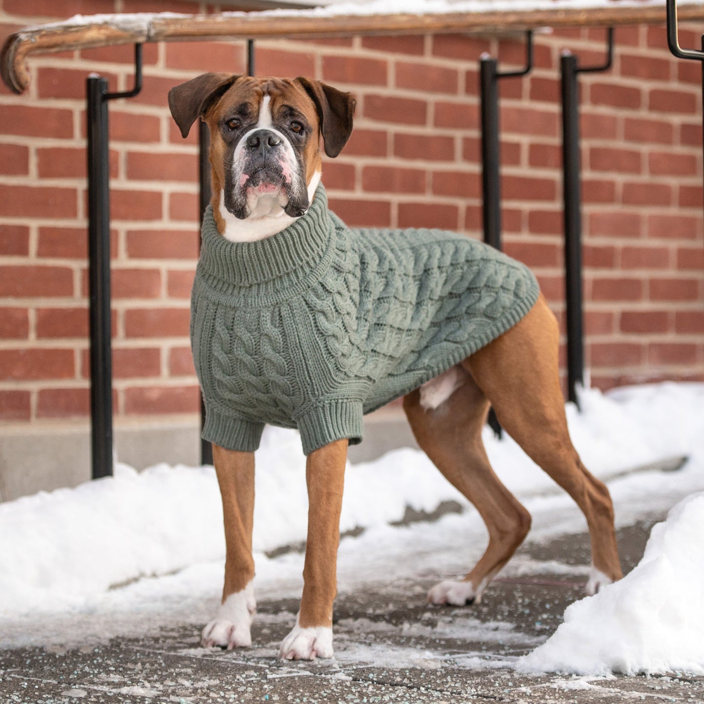 Chalet Pet Sweater - Sage