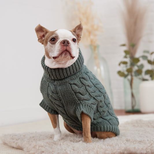 Chalet Pet Sweater - Sage